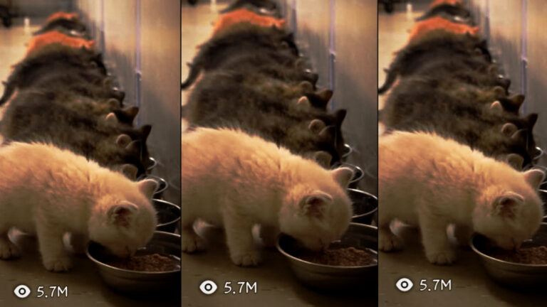 MASTER PROMPT — “THE LAST LITTLE KITTEN” VIRAL ANIMAL FEEDING REEL GENERATOR