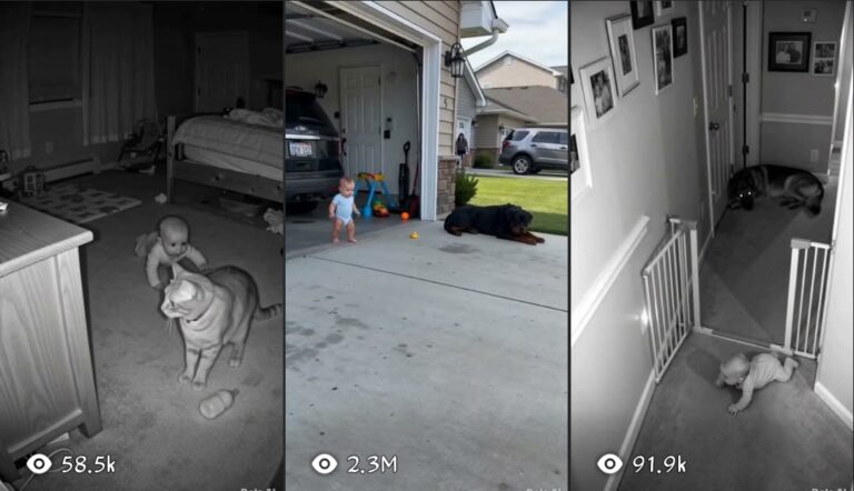 BABY + PROTECTIVE PET NIGHT-VISION RESCUE SYSTEM (CCTV)