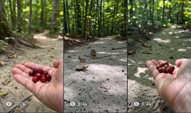 Master Prompt – Wildlife Chipmunk Content