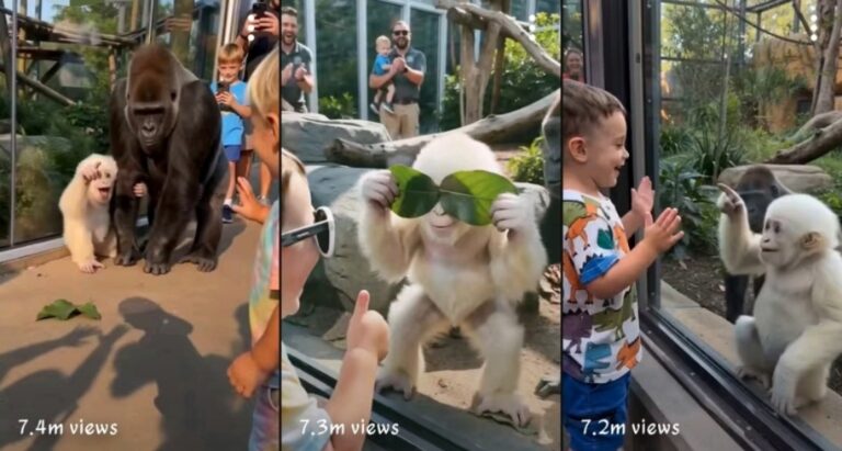 Master Prompt – White Gorilla Viral Content