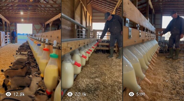 MASTER PROMPT — VIRAL BABY GOAT FARM FEEDING VIDEO SYSTEM